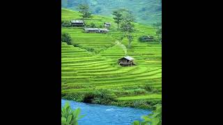 Download lagu Suasana Pegunungan, Sawah, Dan Sungai Yang Bersih..Alami Meman Indah... mp3