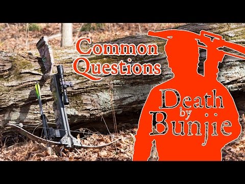 Common Beginner Crossbow Questions (and Answers)