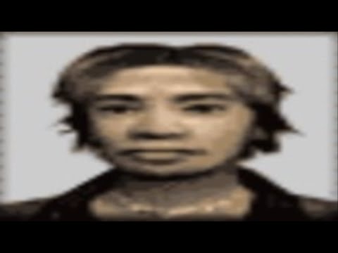 yakuza ps2 fiber optic cable core