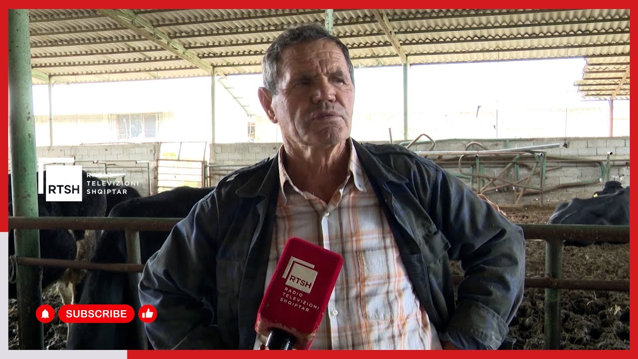 32 vite përkushtim në blegtori – Asim Banushaj vazhdon traditën familjare