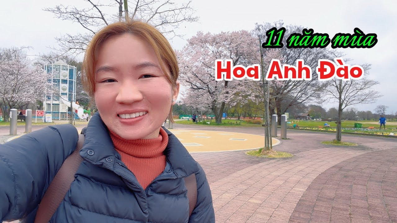 Qua 11 năm mùa Hoa Anh Đào nở chồng Nhật vẫn yêu thương và lo lắng cho gia đình
