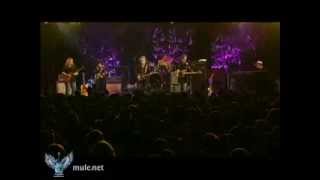 The Shape I&#39;m In | Warren Haynes w/ Marty Stuart