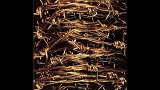 Zeni Geva - Disorganization