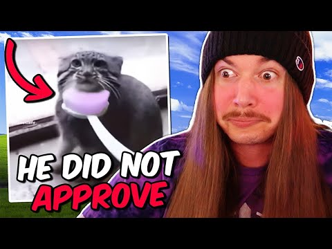 If I Laugh, The Video Ends #162