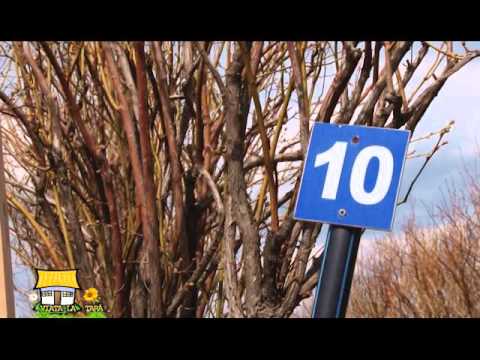 Viata la tara   Beriu