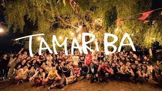 TAMARIBA〜Tamagawa Riverside Festival 2016〜 オフィシャルムービー