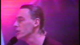 The Style Council - Can You Still Love Me