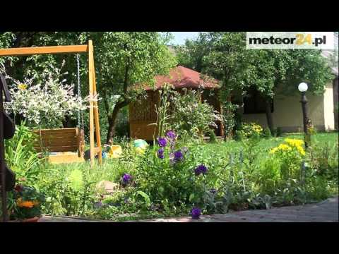 Pokoje Gościnne Aga - Susiec meteor24.pl