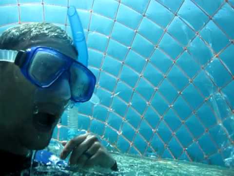 Swim to the Original Underwater Bubble Room (shorter version)