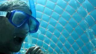 Swim to the Original Underwater Bubble Room (shorter version)