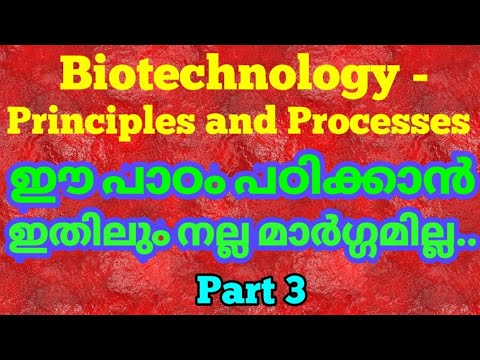 Plustwo botany biotechnology principles in Malayalam | +2 botany biotechnology | biotechnology princ
