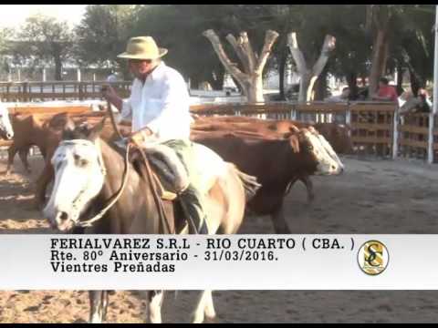 31-03-16 Venta de Vientres Preñados - Ferialvarez S.R.L. - Rio Cuarto