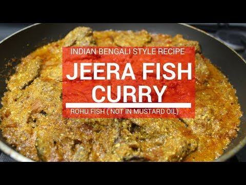 download lagu mp3 mp4 Jeera Fish, download lagu Jeera Fish gratis, unduh video klip Jeera Fish