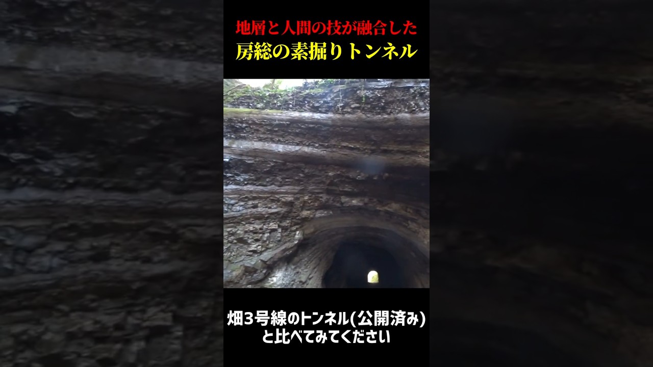 【素掘りのトンネル】自然と職人の技が生み出した傑作トンネル #林道 #畑2号線 #shorts