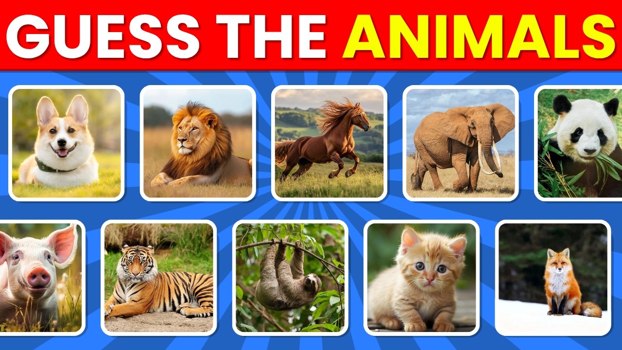 Guess the Animals! 🐶 Can You Get All 25 Right?