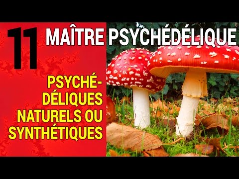 Maître Psychédélique #11 : Psychédéliques naturels ou synthétiques? (1/4)