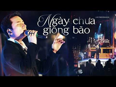 KARAOKE NGÀY CHƯA GIÔNG BÃO - HẠ TONE