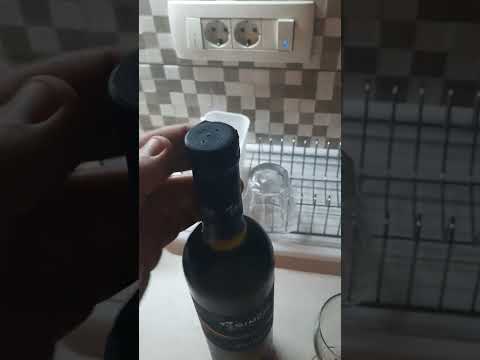 TRYING SLOVENIAN WINES 🍷 PINOT GRIGIO SIMCIC - WINE FROM SLOVENIA 🇸🇮 SIVI PINOT WINE IN VINO VERITAS