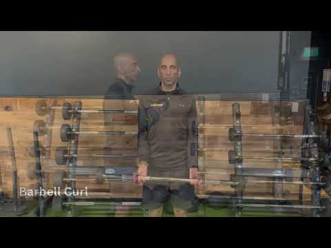 Barbell Curl