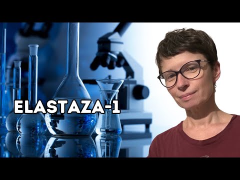 Niestrawność, wzdęty brzuch, bóle brzucha - koniecznie zbadaj trzustkę.