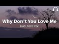 Hot Chelle Rae ft. Demi Lovato - Why Don't You Love Me (Lyrics)