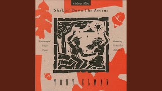 Ships Are Sailing/Temperance Reel