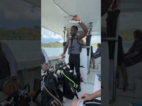 Así fue llegar a Providencia para bucear con Tiburones #buceo #providencia #colombia