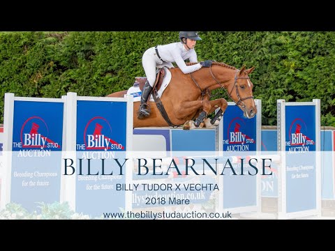 Billy Bearnaise
