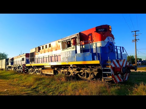 [4K] Tren cargado de NCA con destino a Rosario pasando por Marcos Juárez antes del atardecer!!!!!!