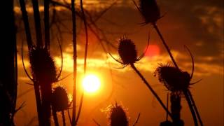 Open Our Eyes   Maranatha Singers