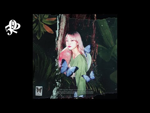 Video thumbnail for Acid Fly