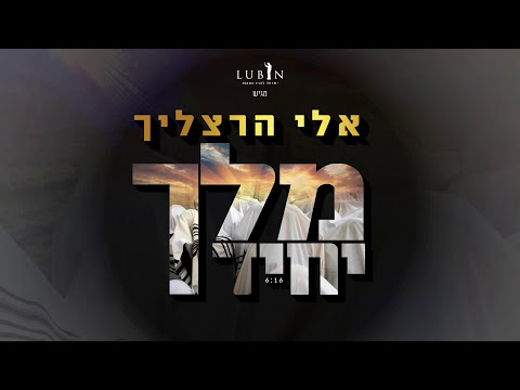 אלי הרצליך מלך יחיד | Eli Herzlich Melech Yochid