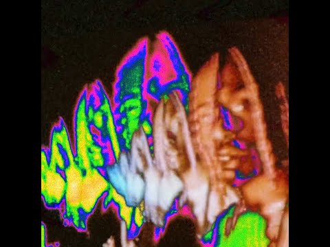 Playboi carti -  Pain 1993 og verse (Visualizer)