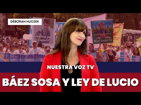 ¿Qué hay detrás del Caso de Fernández Báez Sosa y la Ley de Lucio?