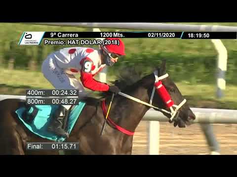 201102 c09 - ALMA DE MAESTRA - HIPODROMO LAS PIEDRAS