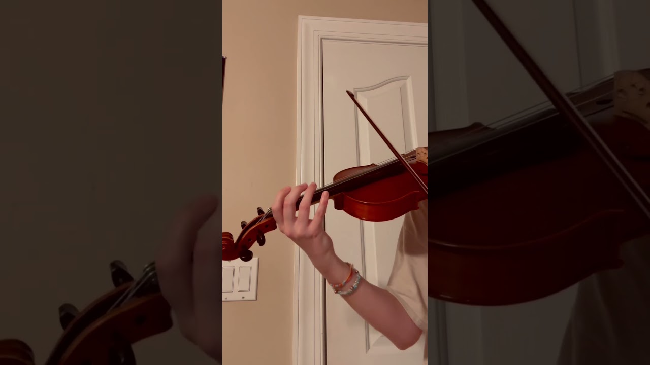 Promotional video thumbnail 5 for Bayley Tuttle Event Violinist