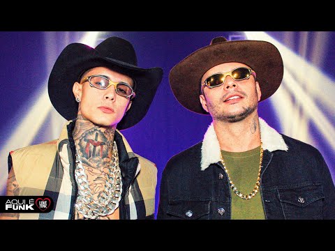 BOTADA DE EX AMOR EM VOCÊ - MC Paiva e Paulo Pires (Love Funk)