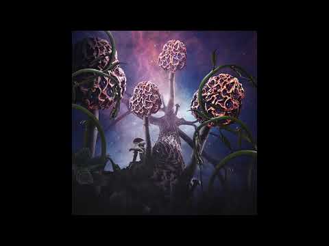 Hallucinogen - Blut aus Nord [2019](FRA)| Atmospheric Black Metal, Avant-garde/Industrial Metal