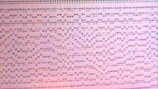 Tom Johnson - Kirkman's Ladies - Rational Harmonies in Three Voices