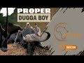 AfriCam This Is Proper Buffalo And Plains Game Hunting