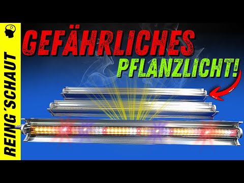 Das tödliche Pflanzlicht | Zerlegt und vermessen: Niello Pflanzenlampe