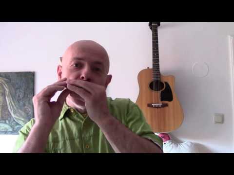 Ein Vergleich verschiedener Blues Harps