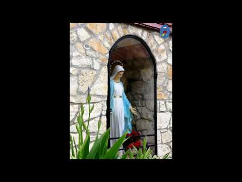 Pustelnia 15.05.2021 - Koronka, uwielbienie