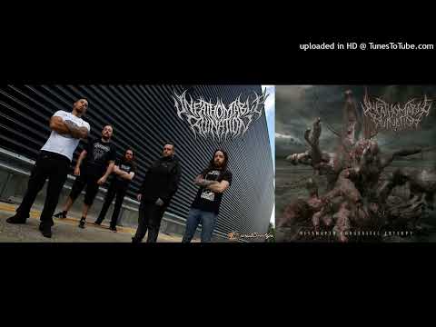 Unfathomable Ruination - Misshapen Congenital Entropy