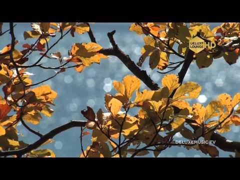 Kitty The Bill - Slow Theme