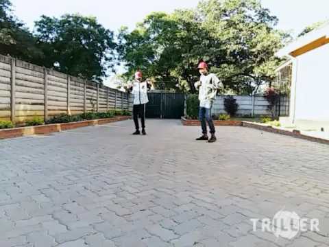 Tamy ft Takura ,Dobba don - beautiful Ndozvandiri | Choreography | Ants-o-za |