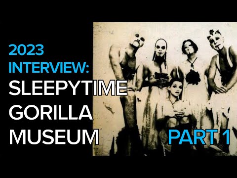 Sleepytime Gorilla Museum Interview: Part 1