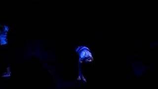 Duet, Black Butterfly