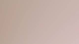 2023 Special Seagull Steam 10 Hours #ColorlessLifeofColors