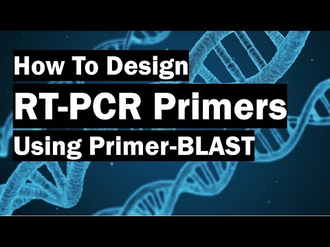 How To Create Real-Time PCR Primers Using Primer-BLAST
